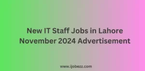 New IT Staff Jobs in Lahore November 2024 Advertisement