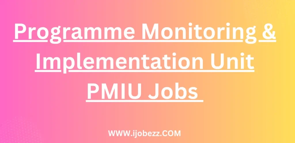 Programme Monitoring & Implementation Unit PMIU Jobs Opportunities