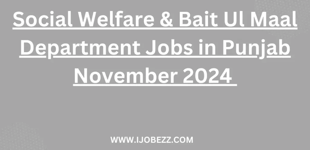 Social Welfare & Bait Ul Maal Department Jobs in Punjab November 2024 Advertisement