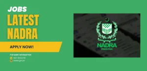 Latest Nadra Jobs Announce in Islamabad December 2024 Advertisement